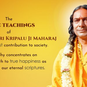 jkp_knowledge_banner