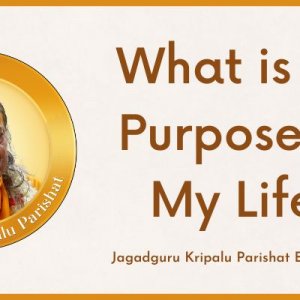 What is the Purpose of My Life?