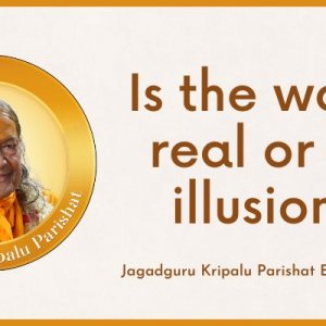 Is the world or an illusion by Jagadguru Shri Kripalu Ji maharaj