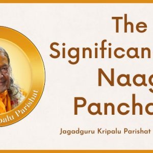 The Significance of Naag Panchami | Jagadguru Shri Kripalu Ji Maharaj | Jagadguru Kripalu Parishat