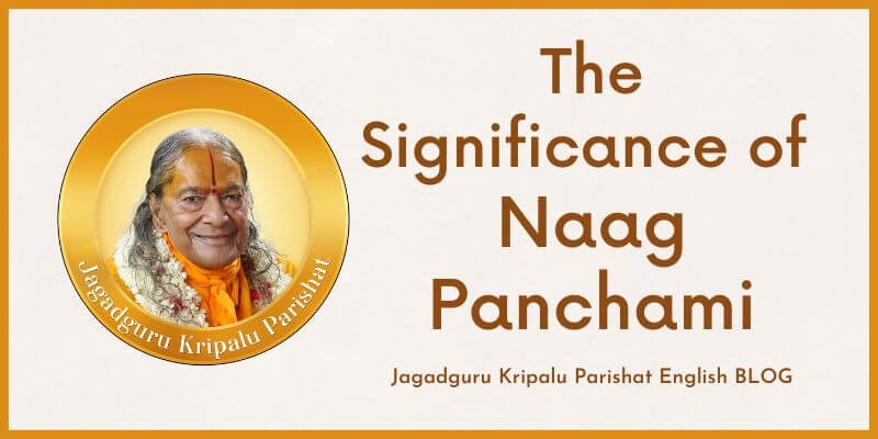The Significance of Naag Panchami